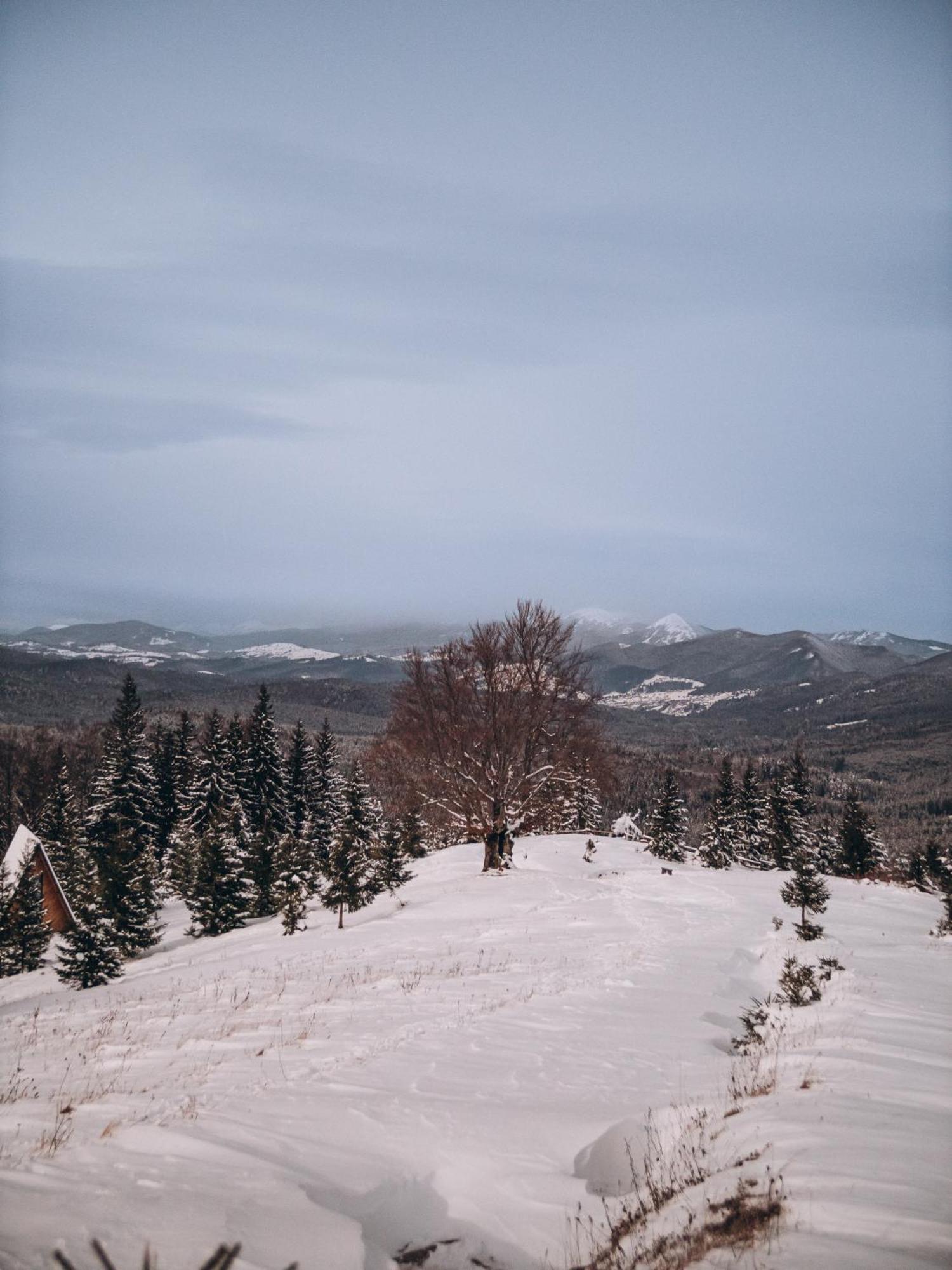 уліс ворохта Holiday home