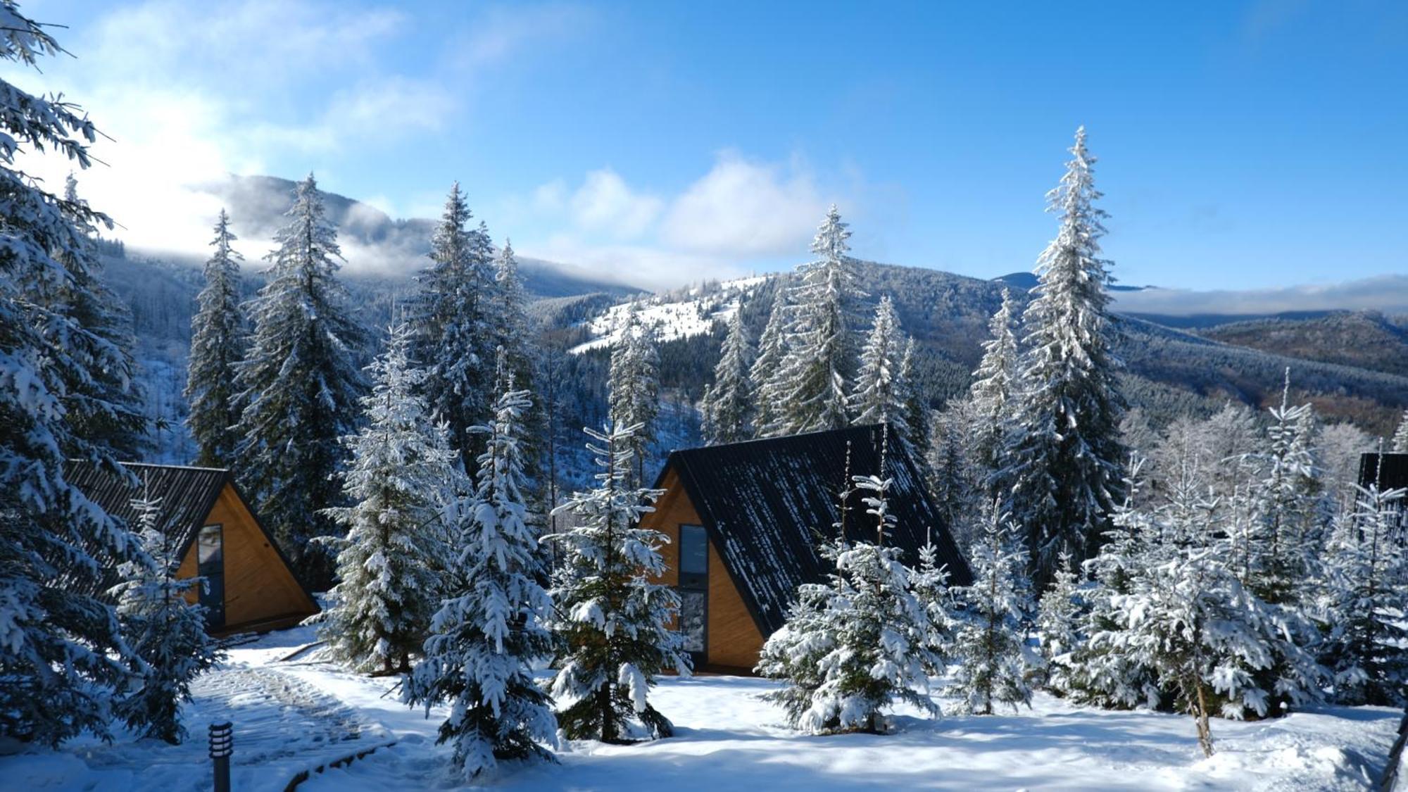 Holiday home уліс ворохта *