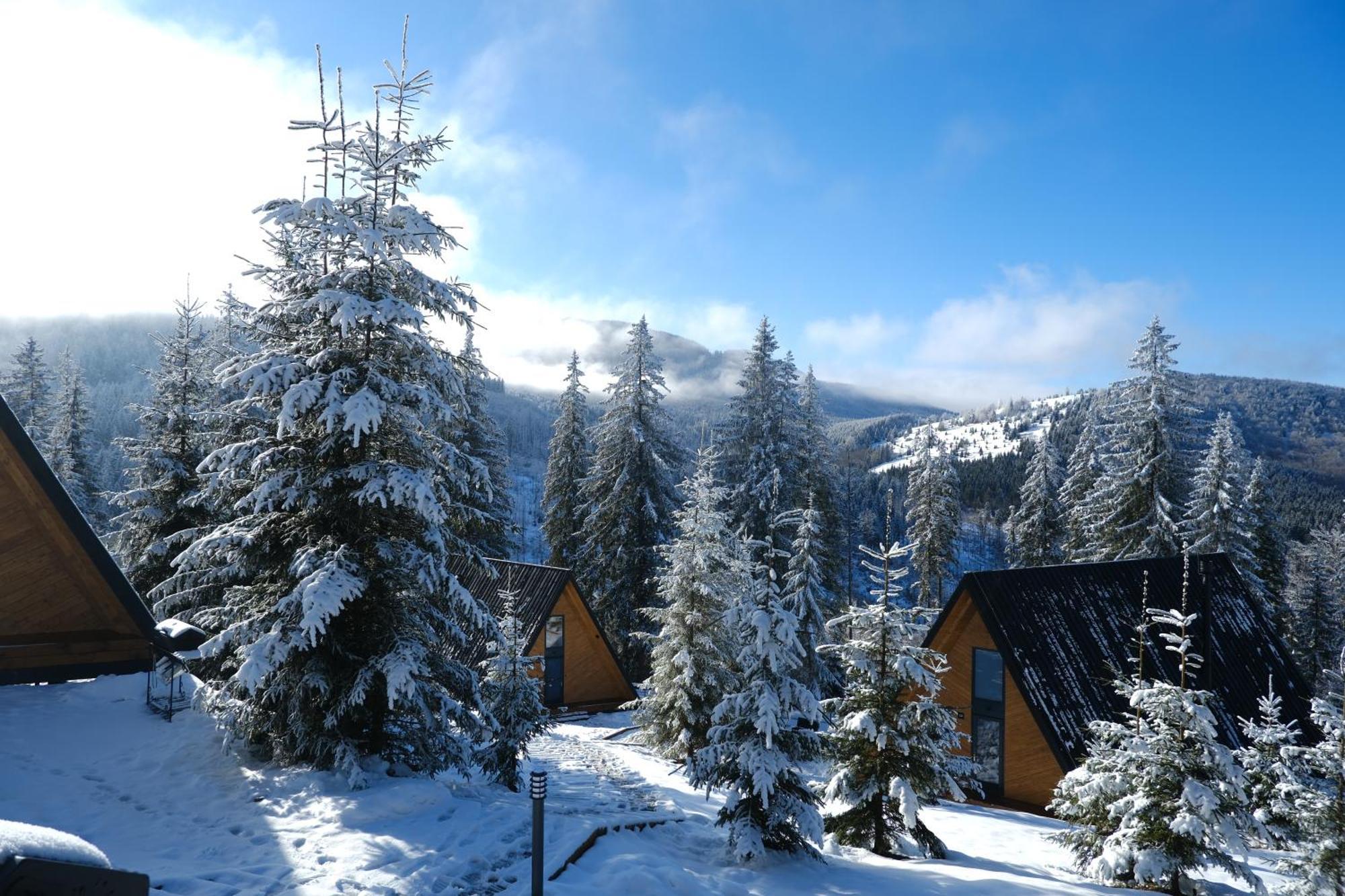 уліс ворохта Holiday home *