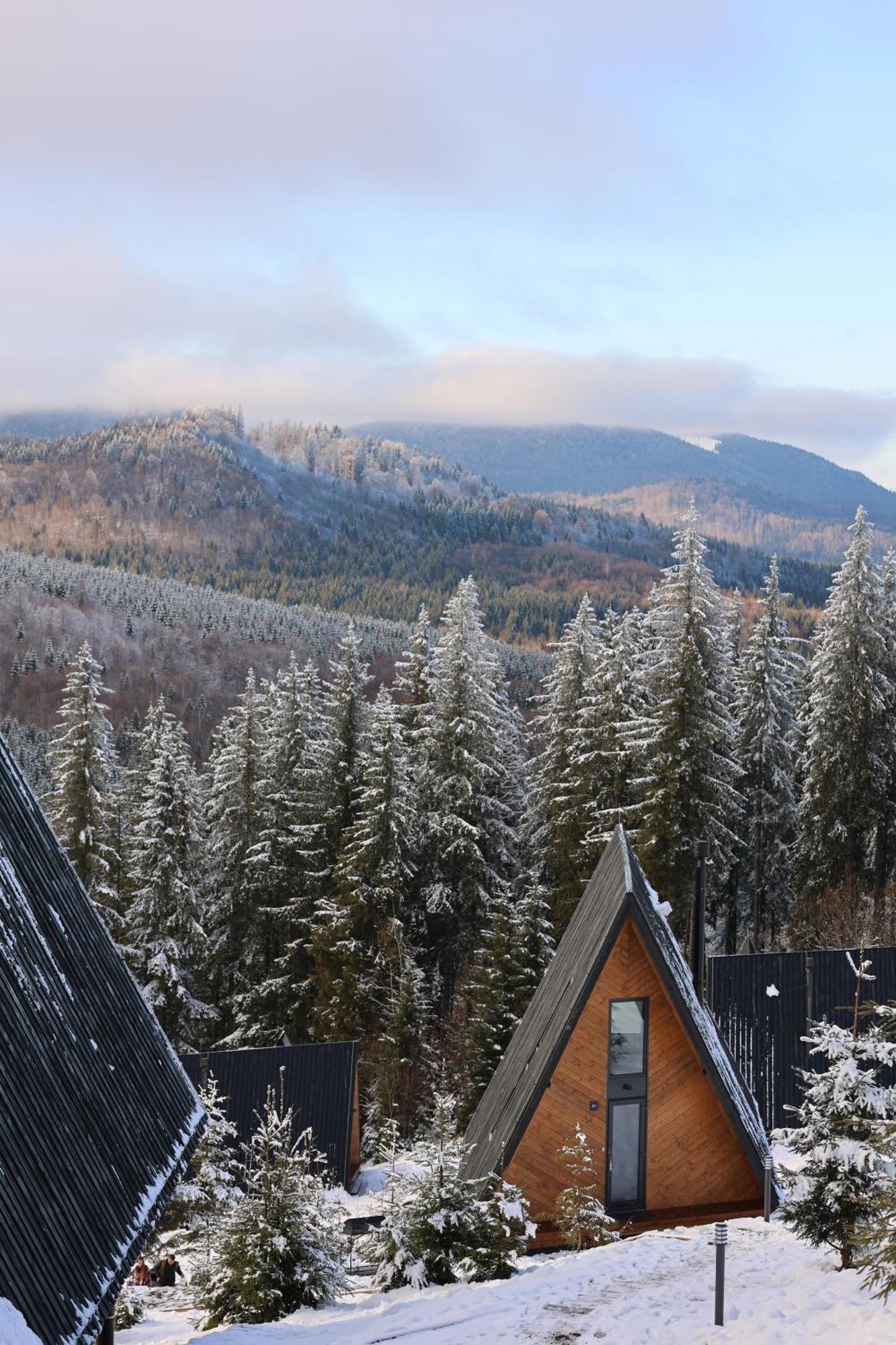 уліс ворохта Holiday home